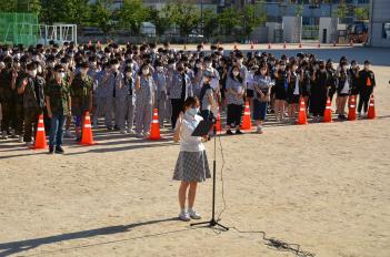 �����ø��� ÷���̹���