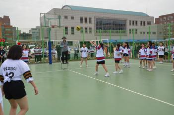 2023 �����ø���(�Ǳ�) ÷���̹���