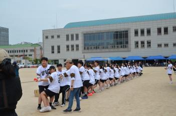 2023 �����ø���(�ٴٸ���, ����) ÷���̹���