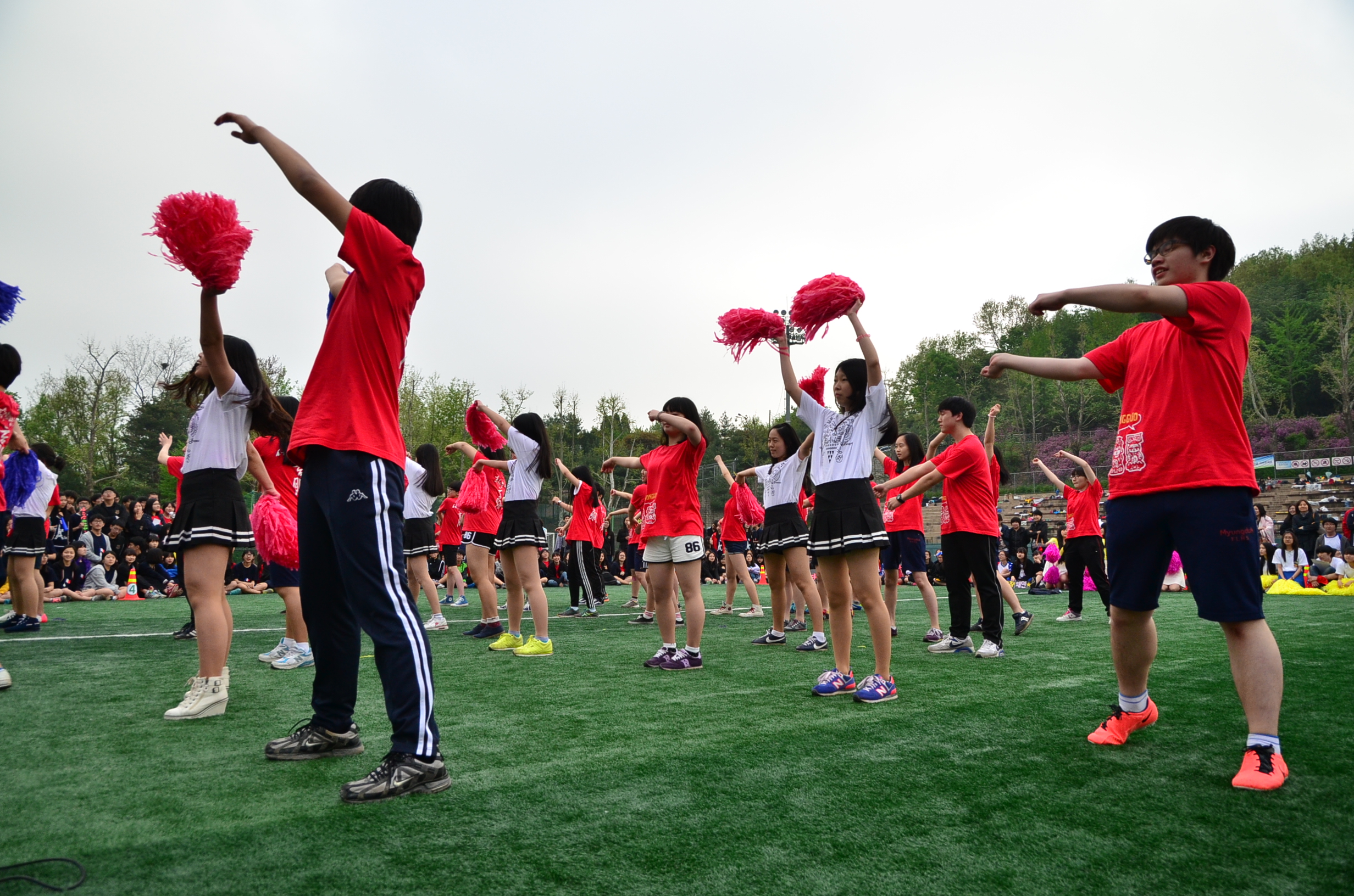 2013ü����ȸ