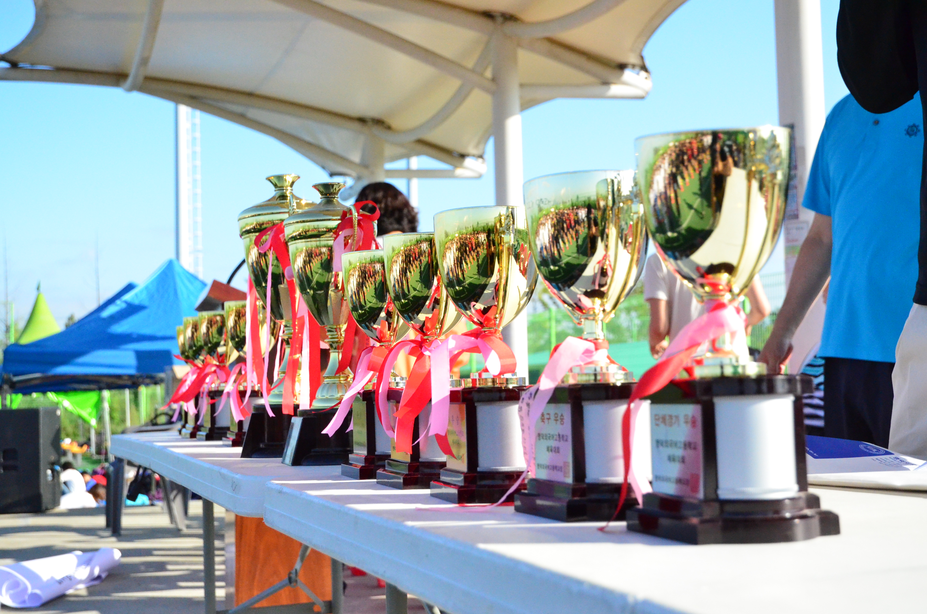 2014 ü����ȸ Ʈ����