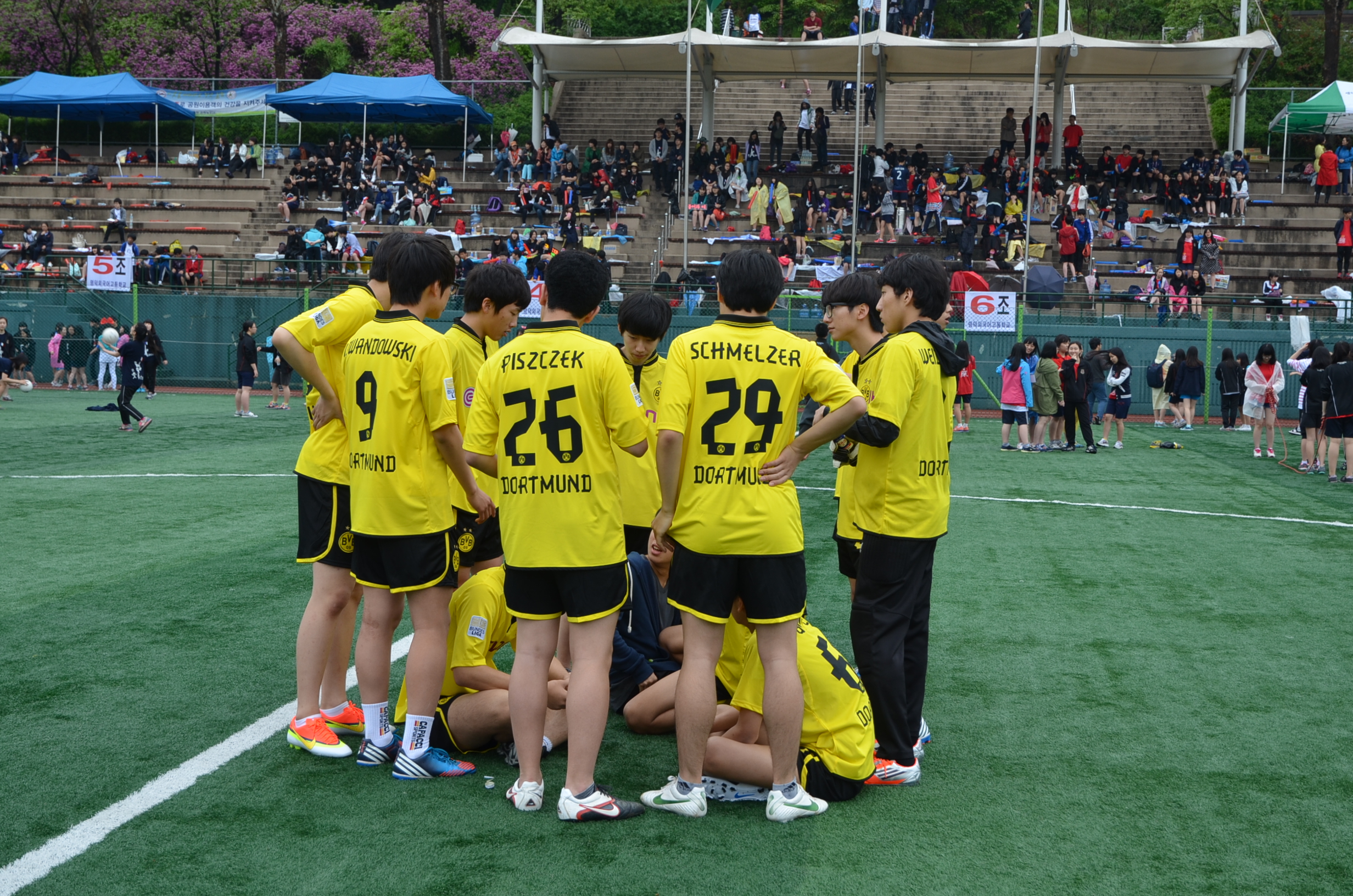 2013ü����ȸ