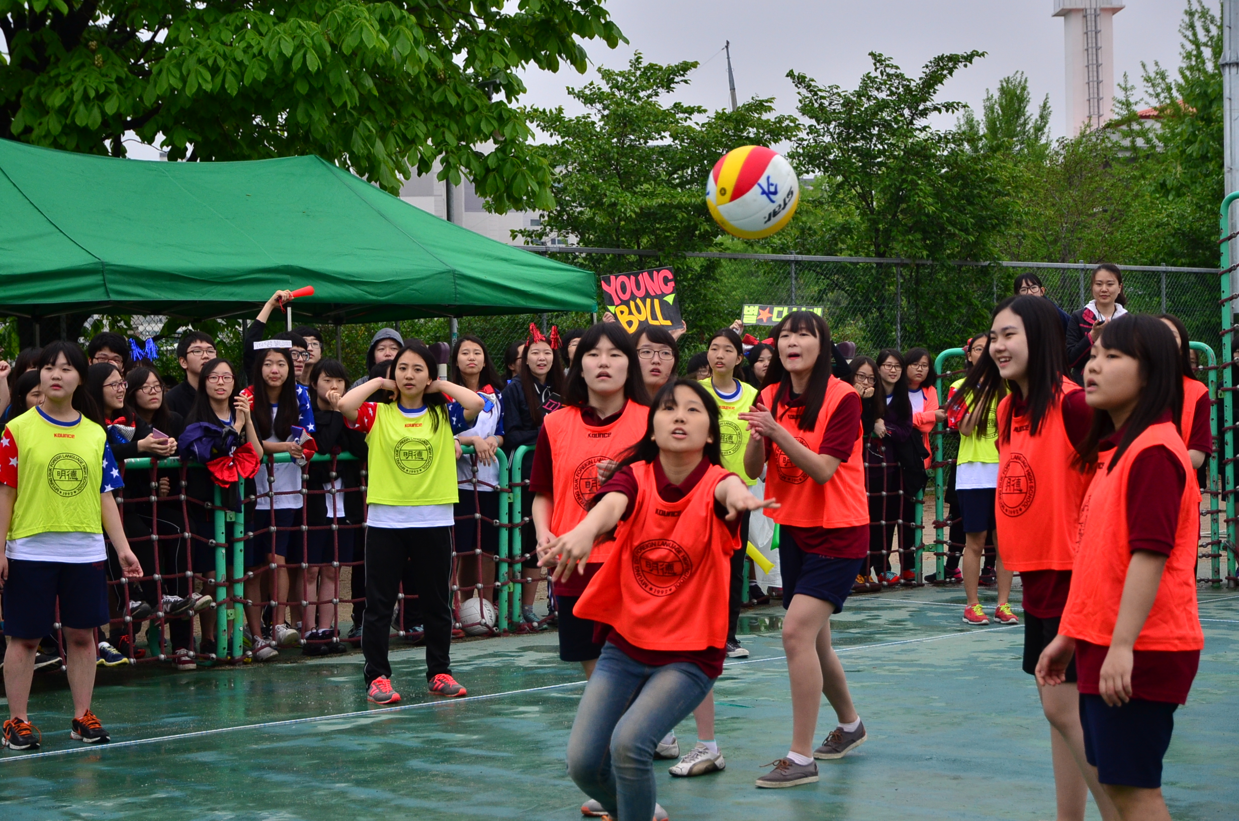 2013ü����ȸ