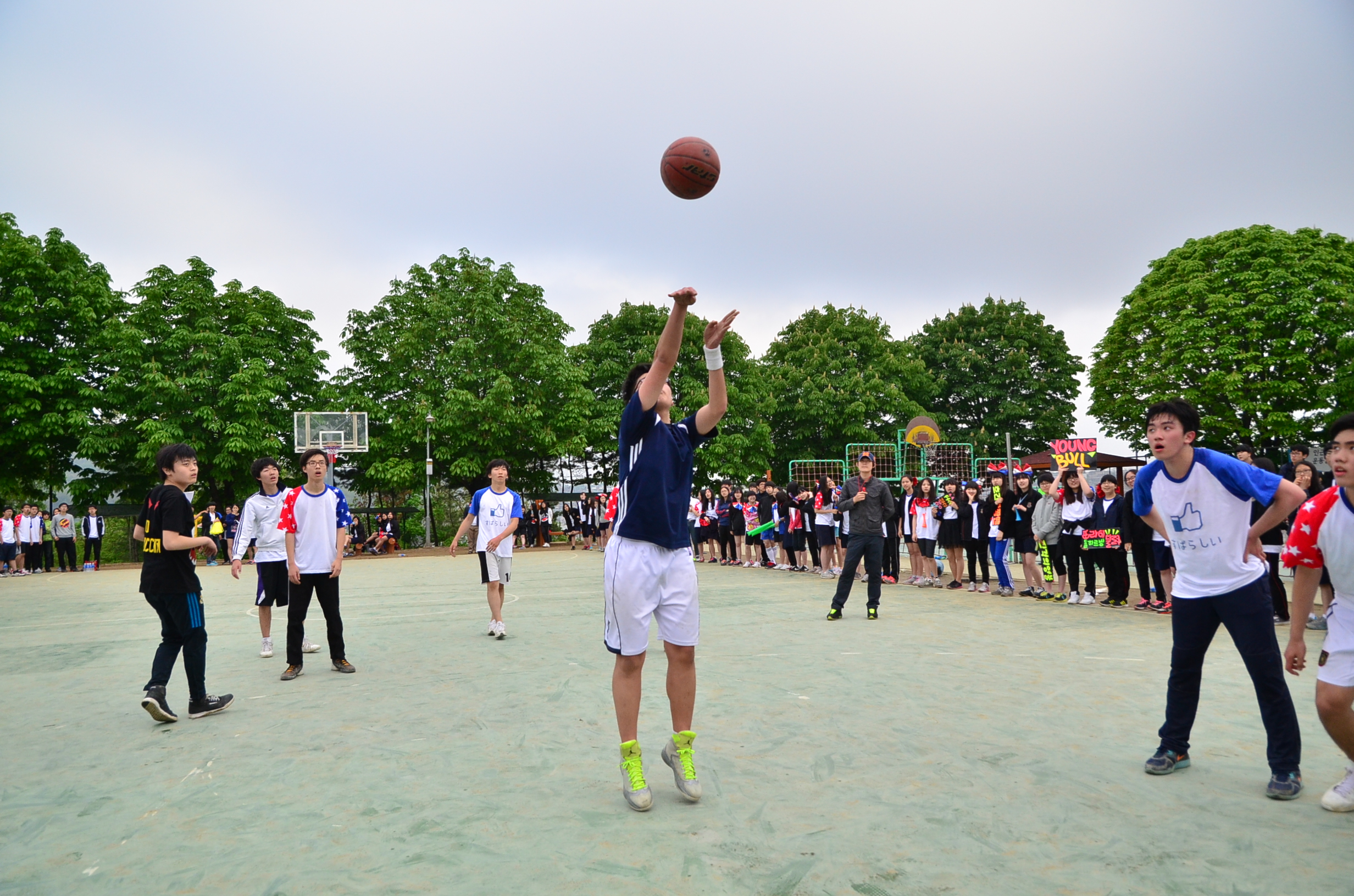 2013ü����ȸ